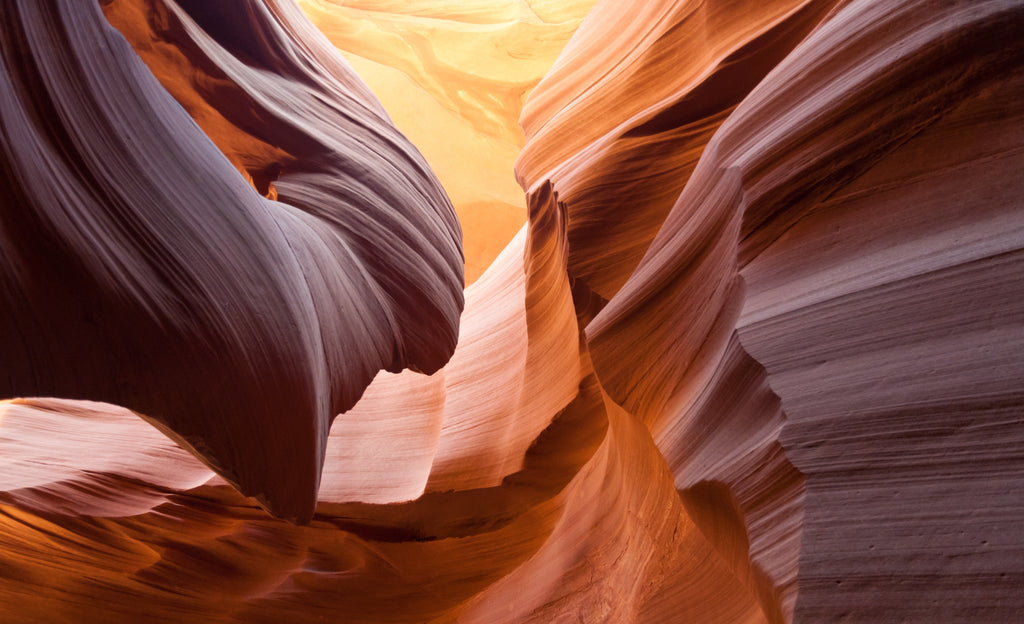 Backpacks, Dry Bags, and Coolers