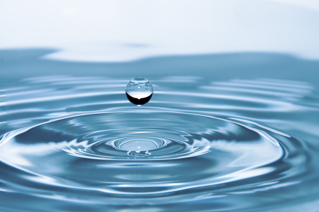 Water Carrier and Purification
