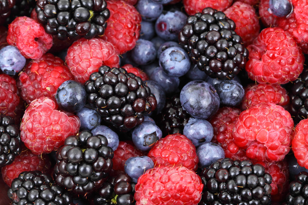 Survival Food